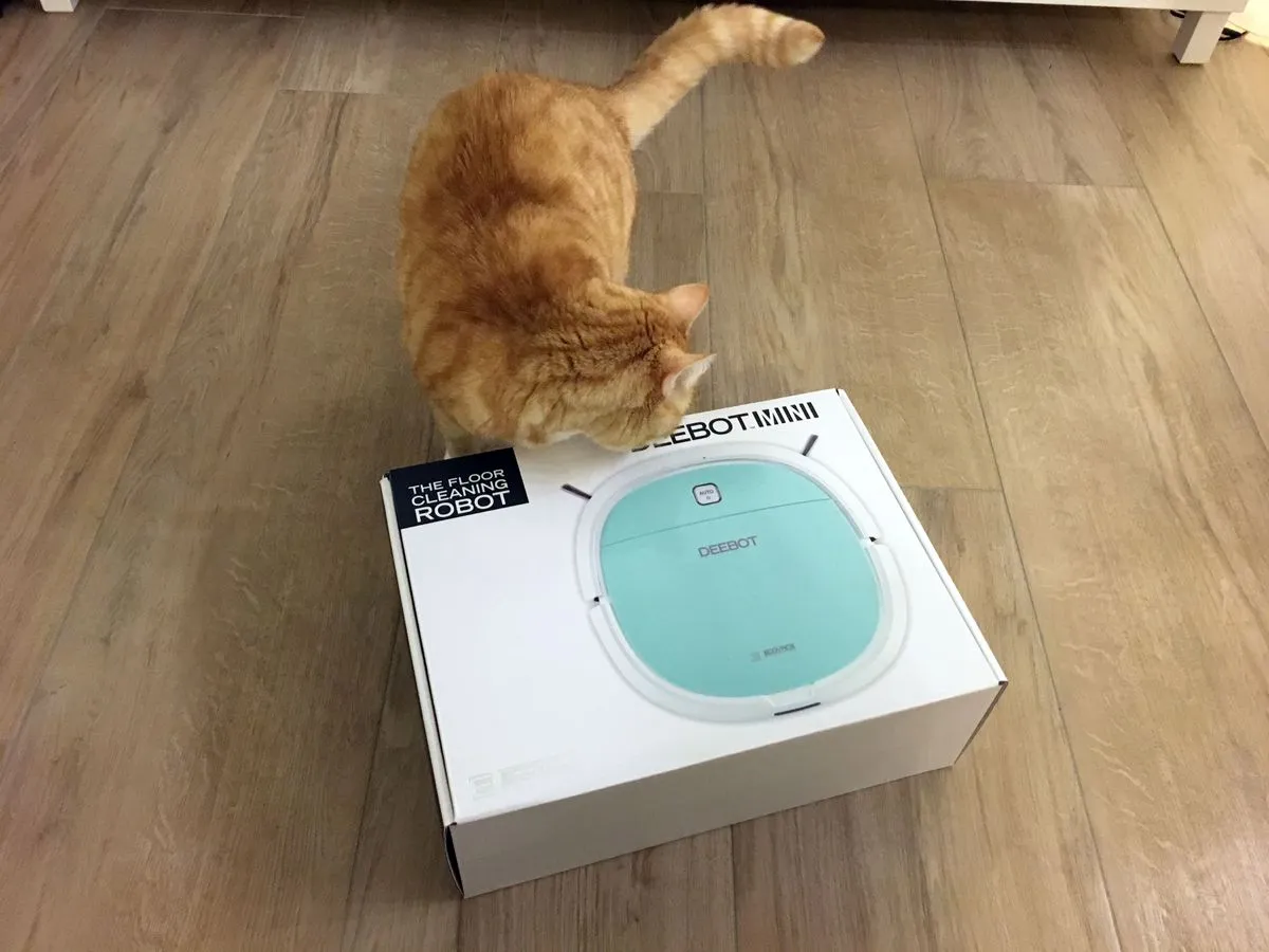Unser Kater Clio guckt sich den neuen Saugroboter genauer an