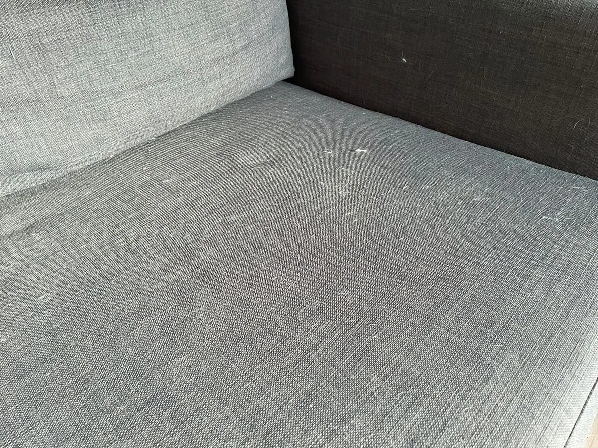 Vorher: Der Lieblingsschlafplatz von Clio