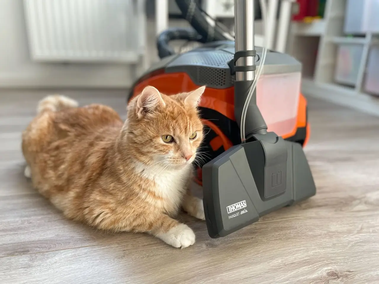 THOMAS AQUA+ Pet & Family Parquet Pro - Wischen und Saugen in einem Abwasch